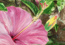 Load image into Gallery viewer, Pink Hibiscus watercolor - Original Watercolor 18x24 or Fine Art Prints