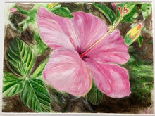 Load image into Gallery viewer, Pink Hibiscus watercolor - Original Watercolor 18x24 or Fine Art Prints