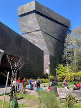 Load image into Gallery viewer, On Daylighting (2024)
