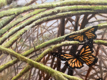 Load image into Gallery viewer, Anne Pentland - butterfly study 12" x 14-1/2"
